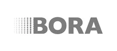 Logo BORA